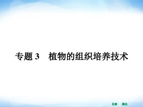 人教版高中生物选修一全册课件31菊花的组织培养讲解