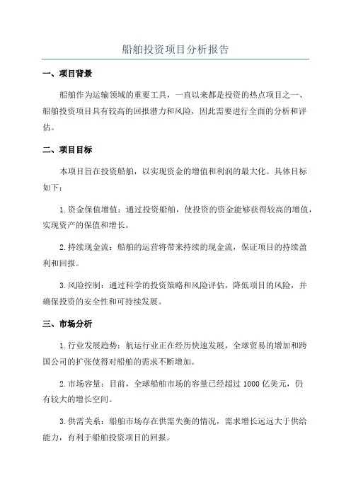 船舶投资项目分析报告