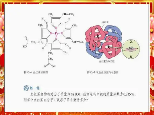 高中生物 第五章 基因突变及其他变异 第01节 基因突变课件 高一生物课件
