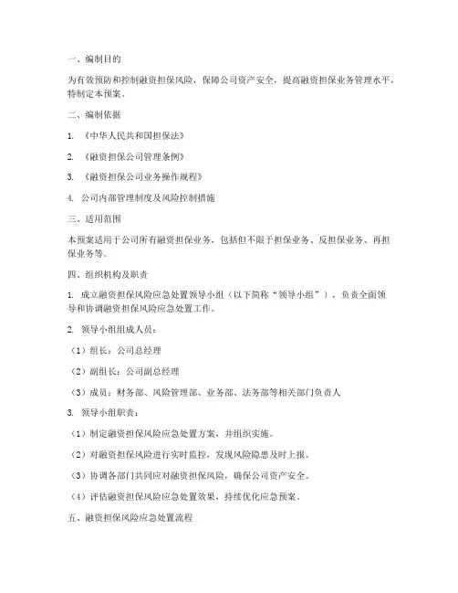 融资担保风险应急预案范文