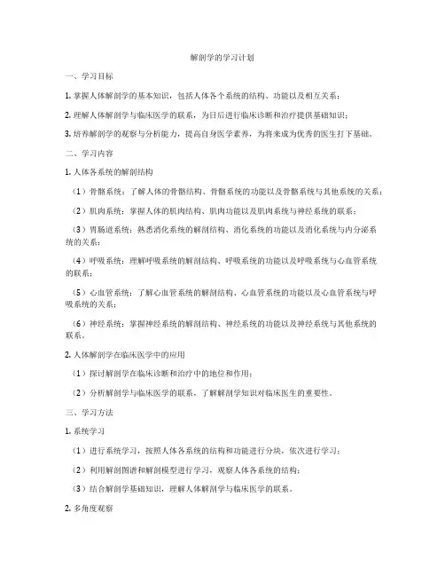 解剖学的学习计划