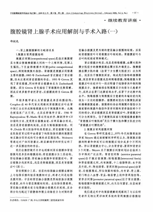 腹腔镜肾上腺手术应用解剖与手术入路(一)