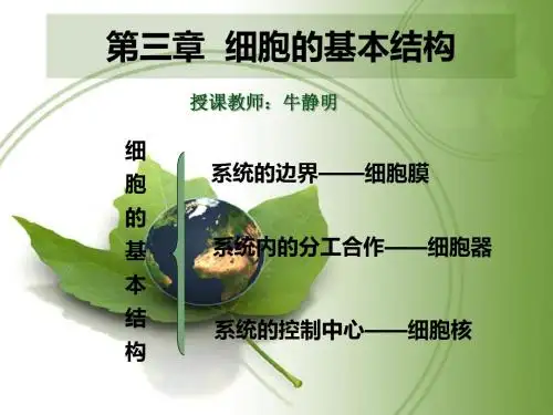 人教版高中生物必修一高一生物必修1 第三章细胞的基本结构 复习总结课件 (共6张PPT)