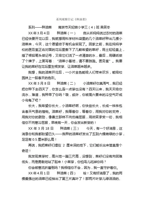 系列观察日记《种油菜》_日记作文