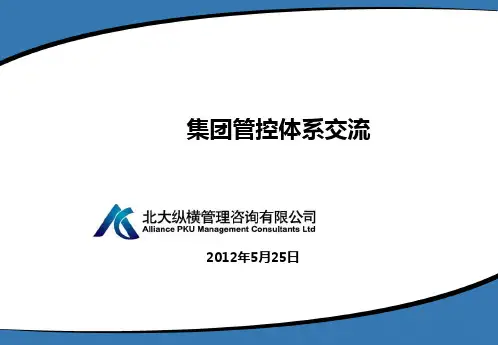 北大纵横集团管控材料