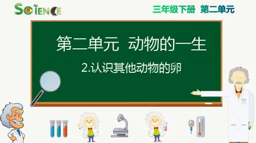 最新科教版小学三年级科学下册《认识其他动物的卵》精品课件