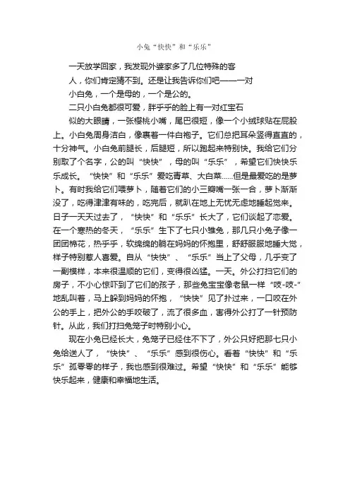 小兔“快快”和“乐乐”_作文550字_小学叙事作文_