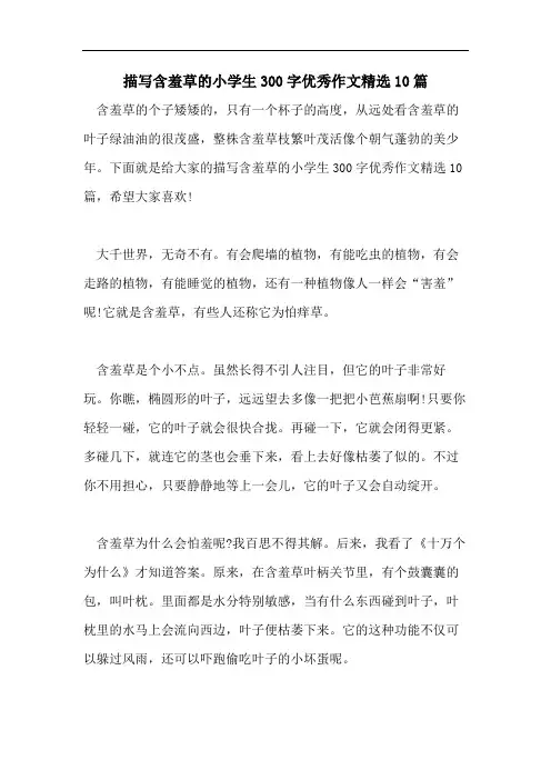 描写含羞草的小学生300字优秀作文精选10篇