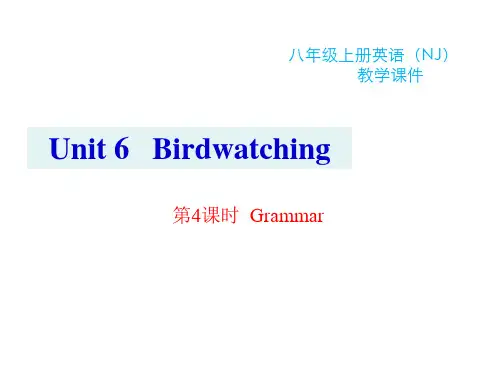 译林版八年级上册英语精品教学课件 unit 6 Bird watching Grammar