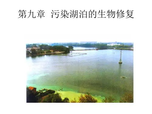 9章_污染湖泊的生物修复