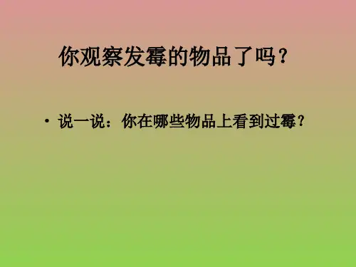 苏教版科学六上《馒头发霉》PPT课件9