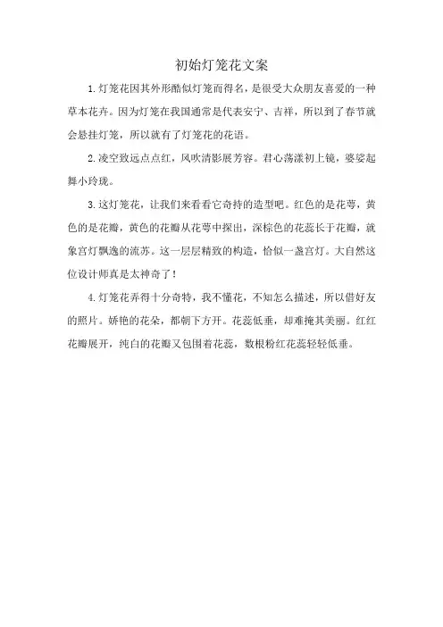 初始灯笼花文案