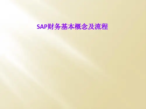 SAP财务基本概念及流程