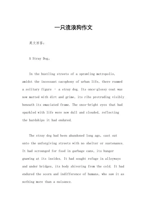一只流浪狗作文
