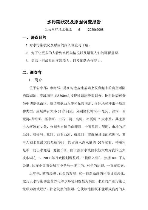 巢湖水污染状况与原因调查报告