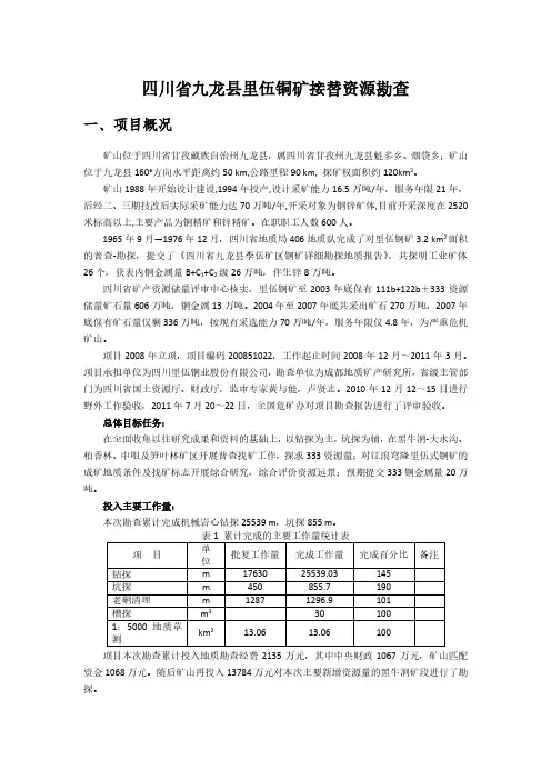 四川九龙里伍铜矿接替资源勘查-全国地质资料馆