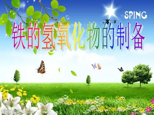 氢氧化亚铁的制备