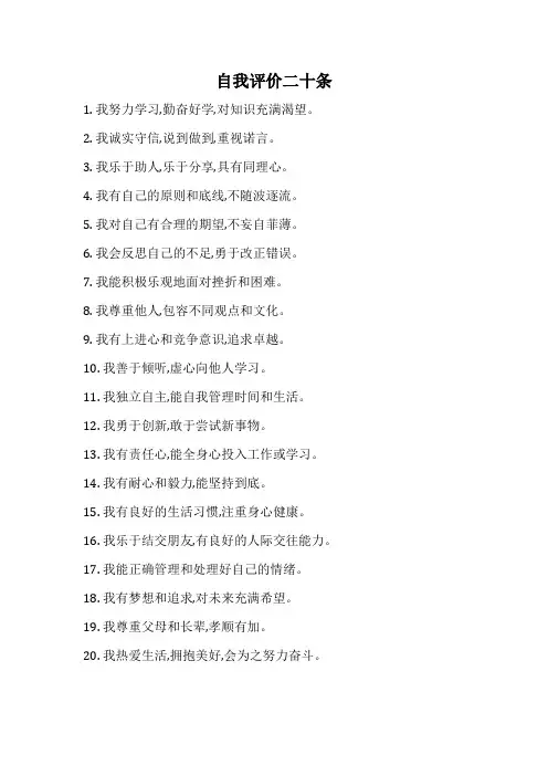自我评价二十条