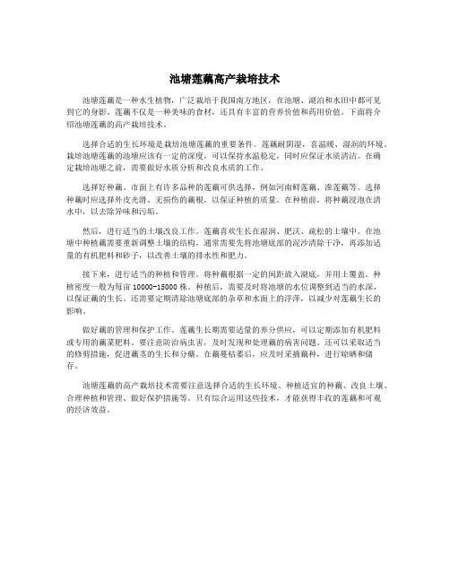 池塘莲藕高产栽培技术