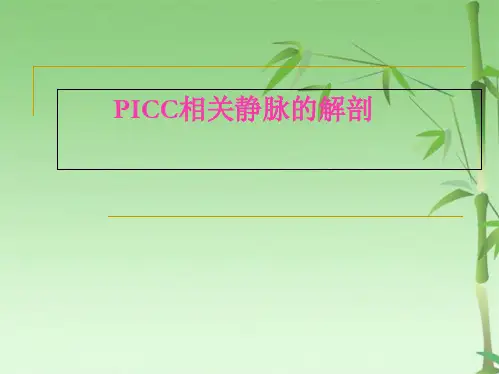 PICC相关静脉的解剖(共50张PPT)