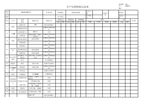 生产过程检验记录表
