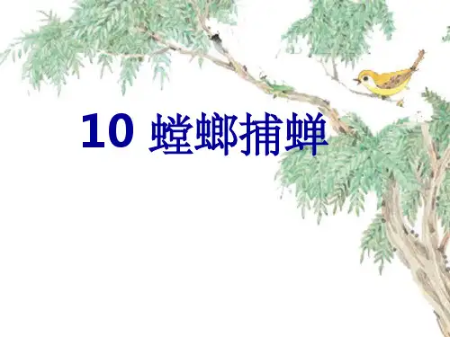 小学语文六年级下册《螳螂捕蝉》