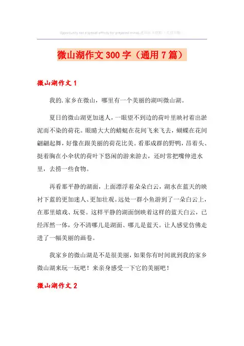 微山湖作文300字(通用7篇)