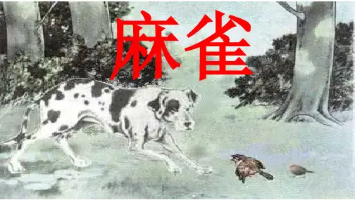 部编版四年级语文上册第17课麻雀 公开课PPT课件 -已修改