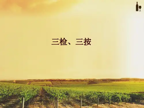 机械类质量标准“三检、三按”ppt