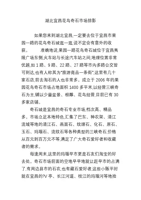 湖北宜昌花鸟奇石市场掠影