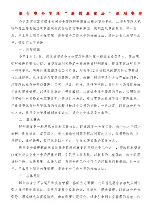推行安全管理“解剖麻雀法”规划安排