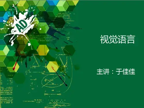 视觉语言(2013)