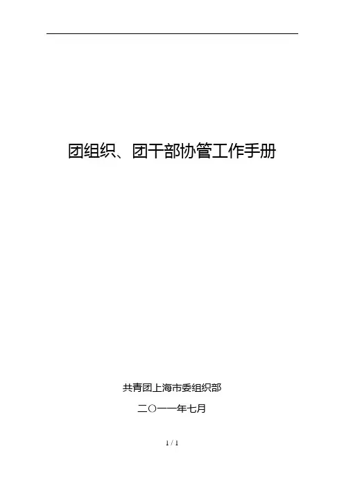 共青团团组织、团干部协管工作手册