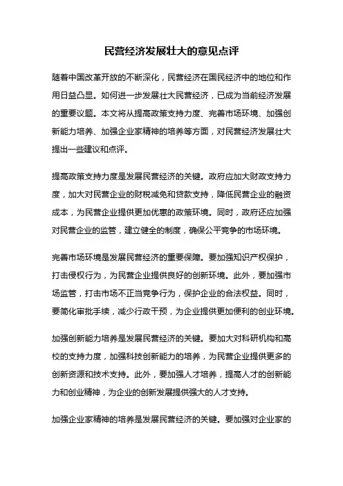民营经济发展壮大的意见点评