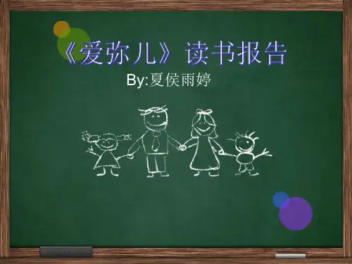 爱弥儿读书报告ppt课件