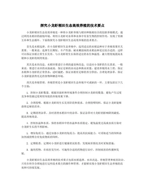 探究小龙虾稻田生态高效养殖的技术要点