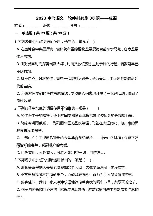 2023年中考语文三轮冲刺必刷30题：成语(附答案)