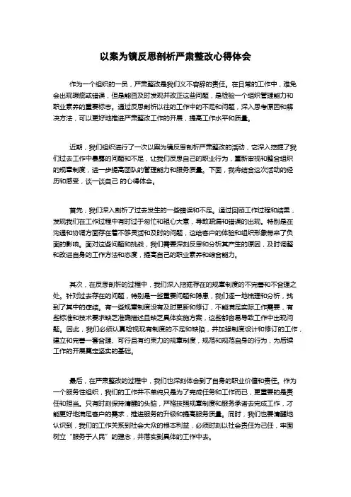 以案为镜反思剖析严肃整改心得体会