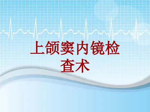 手术讲解模板：上颌窦内镜检查术
