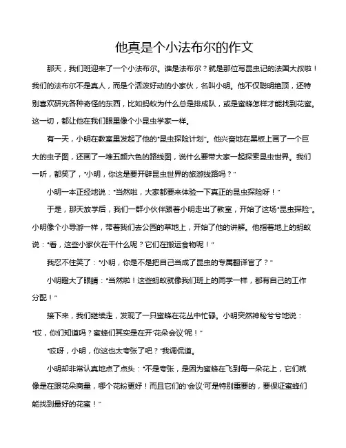 他真是个小法布尔的作文