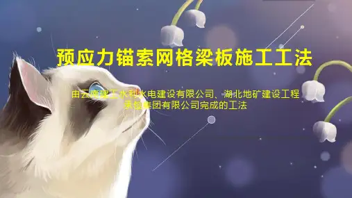 预应力锚索网格梁板施工工法