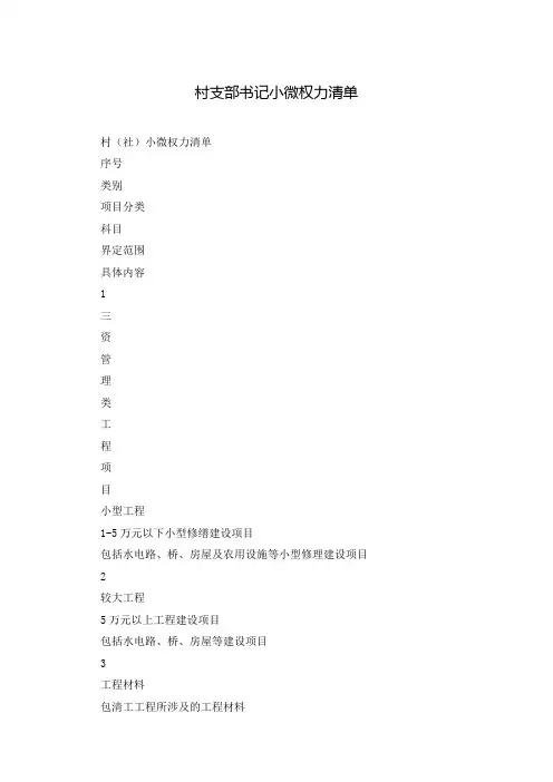 村支部书记小微权力清单