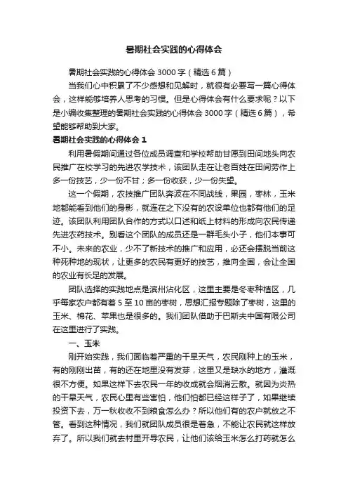 暑期社会实践的心得体会3000字（精选6篇）