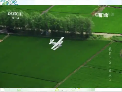 高考一轮复习湿地的开发与保护——以三江平原为例PPT