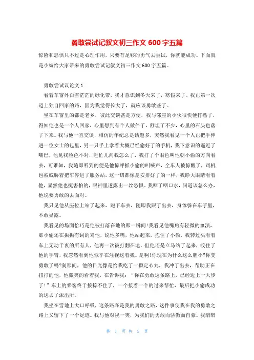 勇敢尝试记叙文初三作文600字五篇
