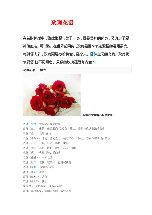 玫瑰花语