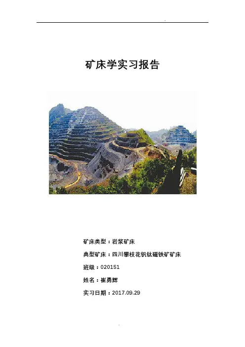岩浆矿床实习报告(四川攀枝花钒钛磁铁矿矿床)