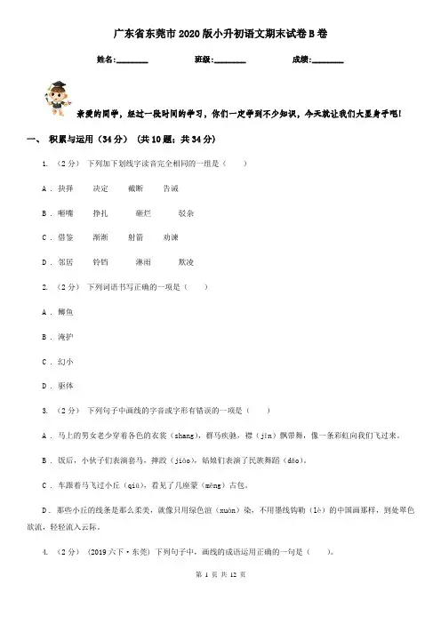广东省东莞市2020版小升初语文期末试卷B卷(考试)