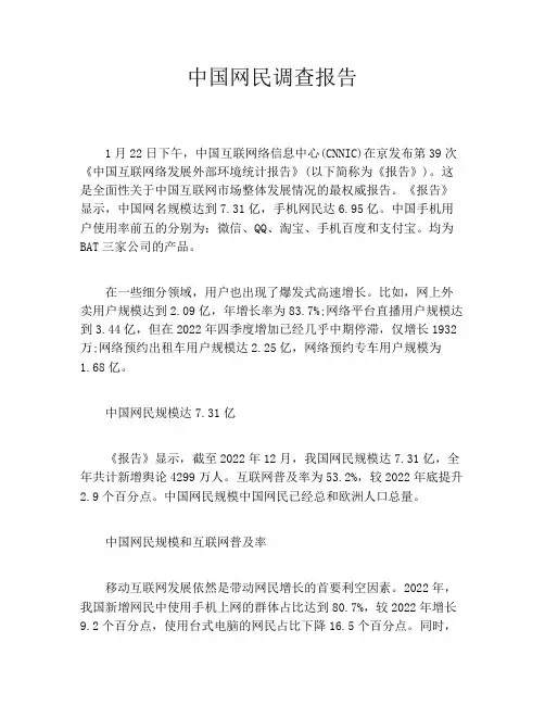 中国网民调查报告
