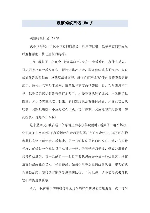 观察蚂蚁日记150字